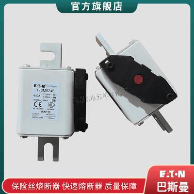170M5246170M5247170M5248巴斯曼bussmann快速熔断器保险丝