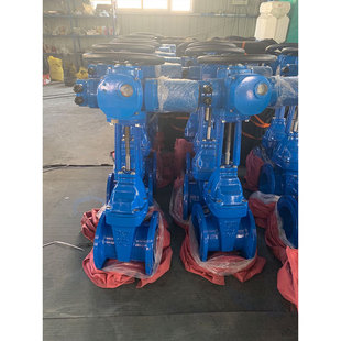 电动明杆闸阀 16Q 软密封电动弹性座封闸阀球墨铸铁厂家河北Z941X