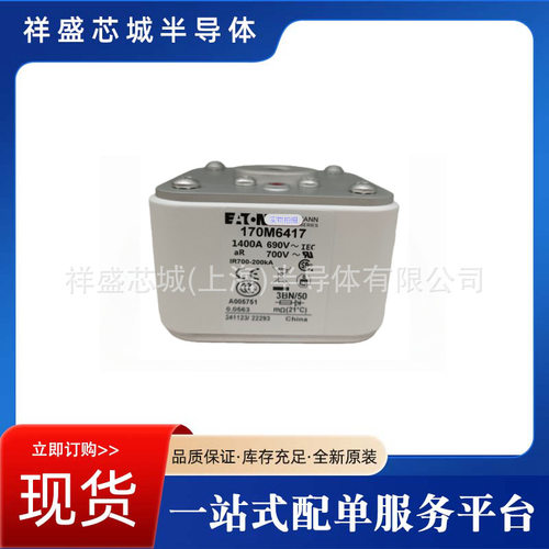 170M6119   170M6120 快速熔断器  保险丝 电子元器件 量大价优