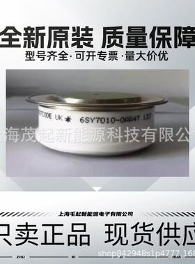 6SY7010-0AA46 6SY7010-0AA47 6SY7010-0AA50 6SY7010-0AA38