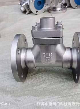 DH41F-25P不锈钢低温法兰止回阀LCG低温单向阀法兰-196℃止回阀