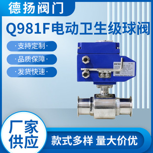 304 316L快装 卡箍式 快接 Q981F电动卫生级球阀 D19