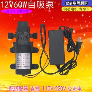 微型高压水泵12V60W自吸增压电动隔膜泵型农用家用洗车直流