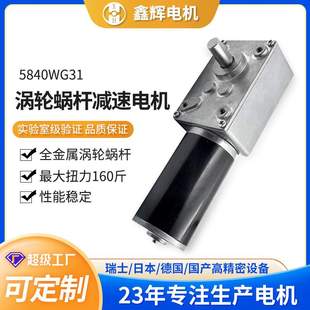 5840减速电机31马达24V12V大扭矩带自锁蜗轮涡杆直流减速电机