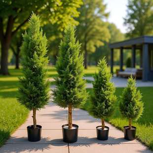 植物柏树 塔型松柏树盆景 酒店商场家居装饰塑料假树盆栽