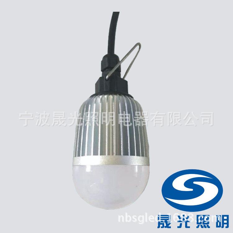 SG-FW6322 低压36V球泡 LED节能灯 交直流工程照明行灯12V