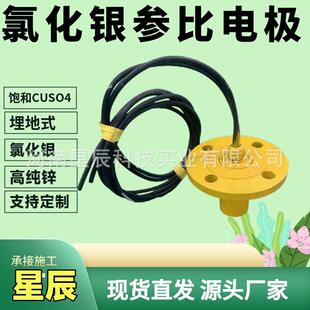 复合型218型参比电极 雷磁 磁银/氯化银单盐桥式218 型参比电极