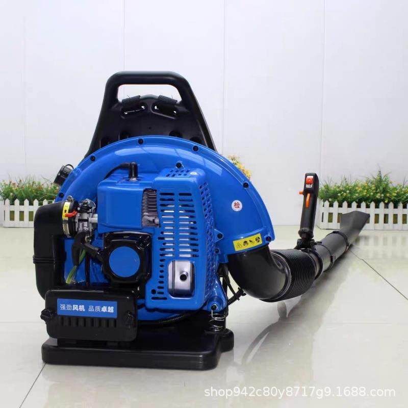 便携式汽油手提吹雪机大功率道路清理吹风机道神威尔风力灭火机,农机/农具/农膜,播种栽苗器/地膜机,淘宝优惠券,粉丝福利购,淘宝优惠卷
