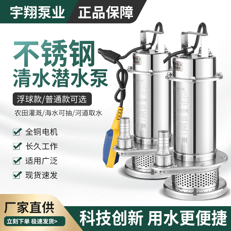 QDX不锈钢潜水泵单相2s20V小型清水泵1寸高扬程带浮球304抽水泵
