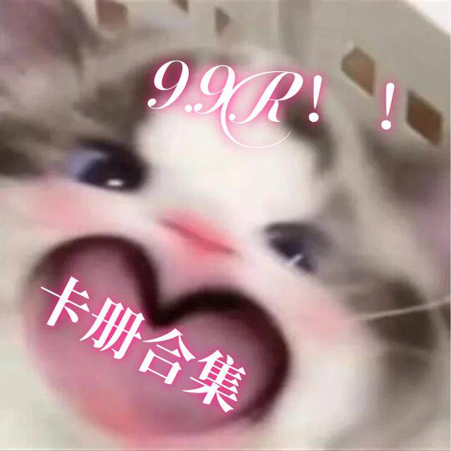 小红书同款卡册合集A5相册