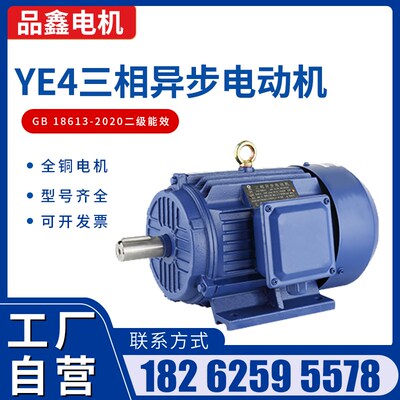 YE4三相异步马达二级能效GB18613-2020立卧式全铜芯三相马达380