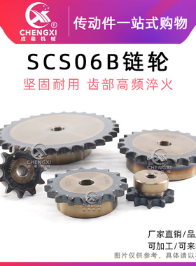 SCS高精度单排链轮3分06B 06B22齿 06B23齿 06B24齿 06B25齿