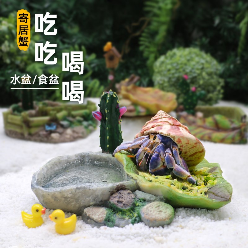 速发寄居蟹真树脂水盆盆盆~吃吃喝喝双格三角水盆泡澡食喝水爬宠