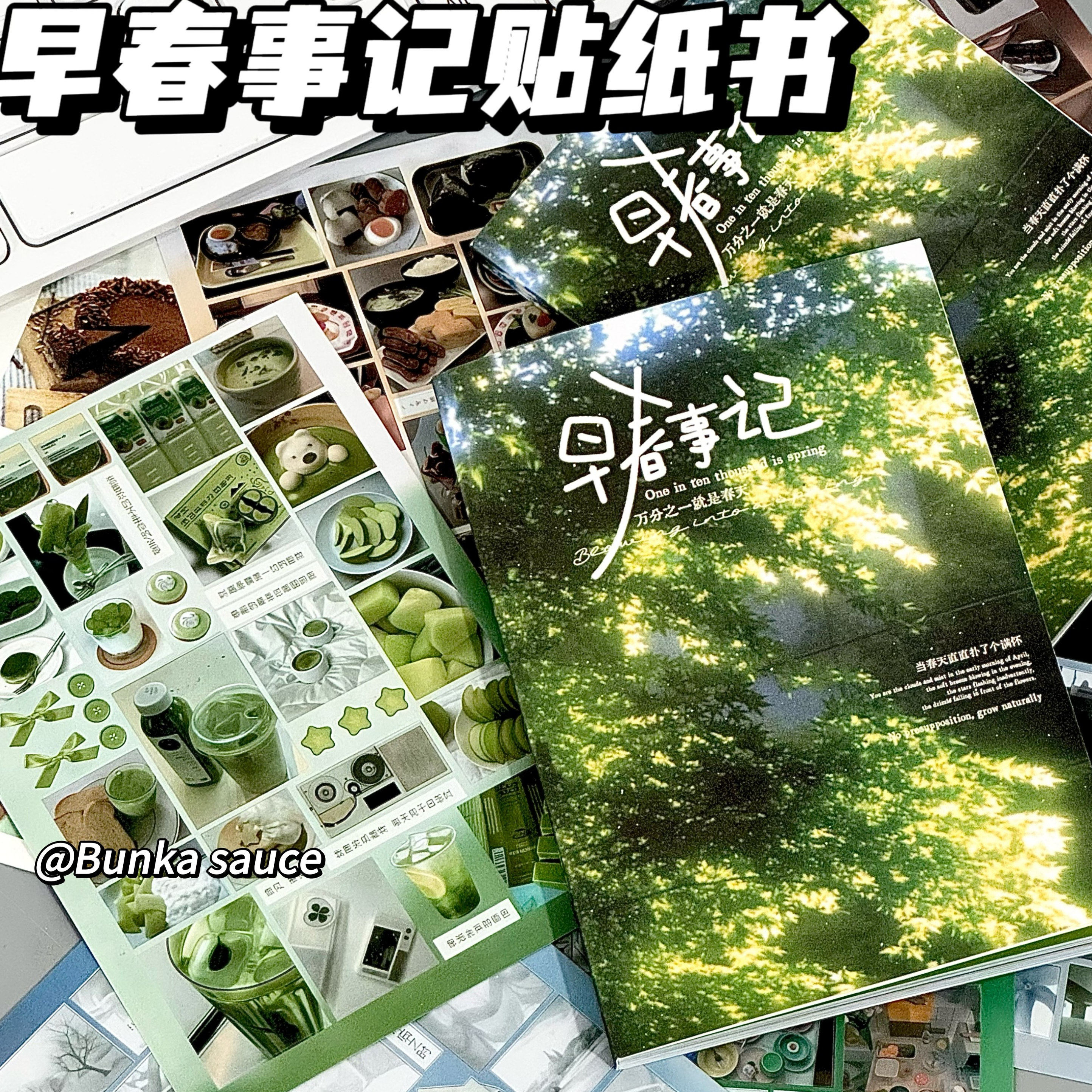 小红书同款早春时记贴纸书日记diy装饰素材ins风切膜贴纸学生手帐