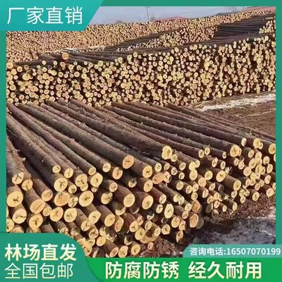 松木桩河道护坡打桩m木防洪防汛原木实木桩水利工程建设杉木圆木