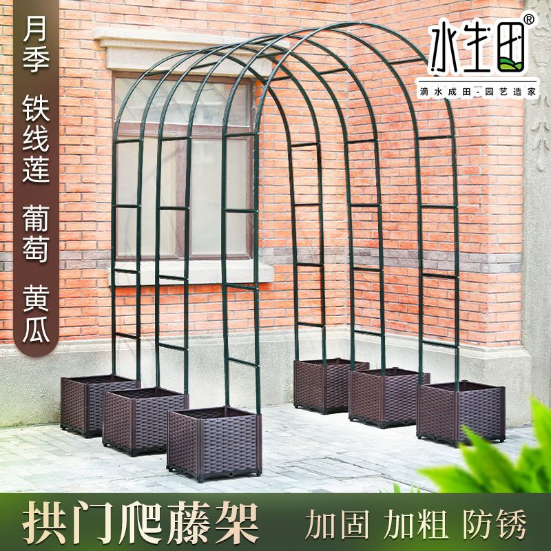 攀爬支架杆月季葡萄铁线莲蔷薇庭院花园室外拱形拱门花架爬赵之周