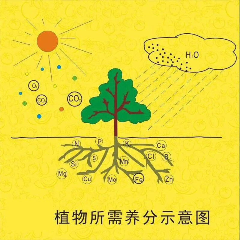 板栗专用肥料榛子复合肥果树氮磷钾高钾肥粟子膨果增甜化肥*