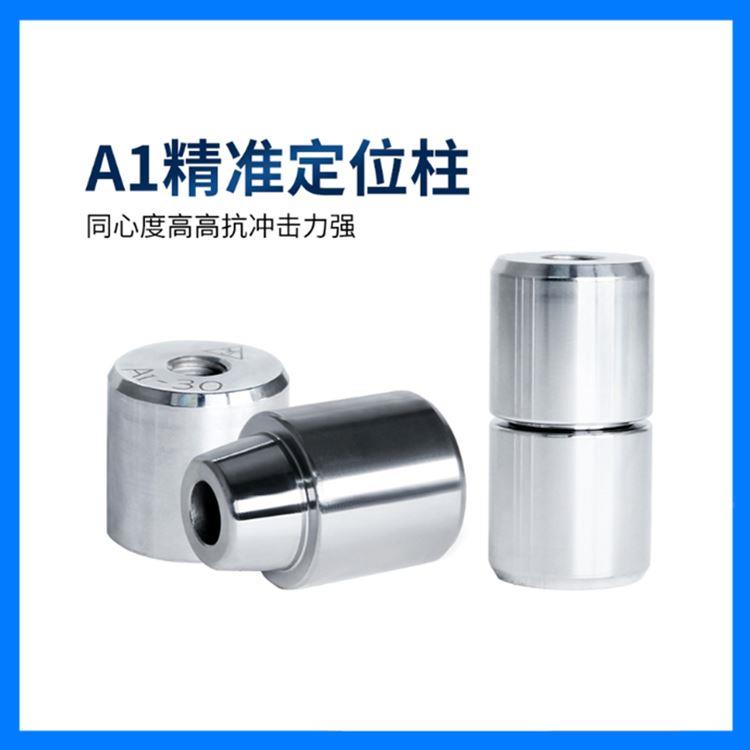 B1型直身零度精定  S136材质组件定位销 A1锥镀精密圆形辅助器
