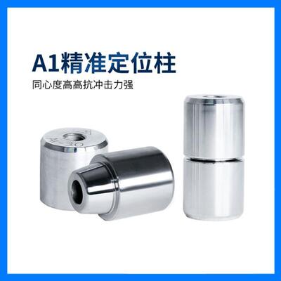 B1型直身零度精定  S136材质组件定位销 A1锥镀精密圆形辅助器