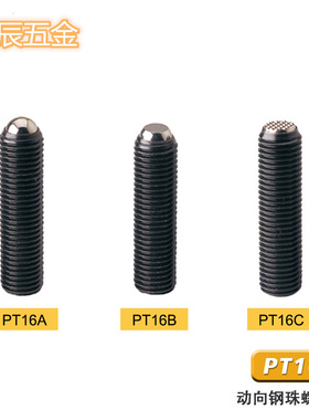 。平面PT16B-0610/0615/0820/1030/1220 夹具螺丝定位动向钢珠螺