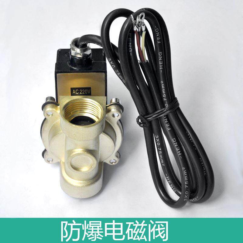 伊莱科2W型防爆电磁阀水阀控制阀管道油气常闭开关220V可定制