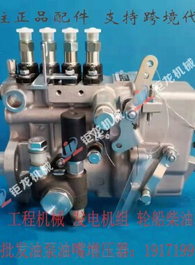 BHF4PL高压喷油泵总成1002007203B燃油泵 柴油喷射泵