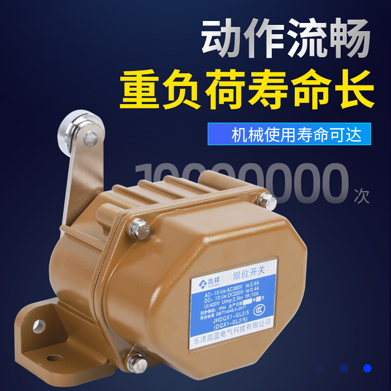 。DQX1-GL2/5 重型限位开关 耐高温 钢铁焦化厂矿山行程开关