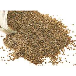Organic ajwain seeds 100g 印度香料 香芹籽