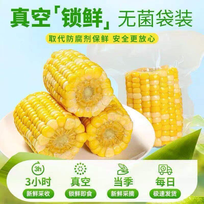 云南新鲜水果玉米开袋即食半截免煮代餐早餐速食学生黄金甜玉米段