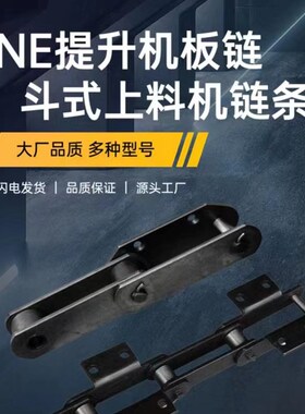 NE30斗式提升机链条NE15 NE30 NE50工业板式输送链上料机输送链条