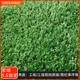 工地围挡草坪人造仿真假草皮地毯塑料绿植户外工程绿化网装 饰围墙
