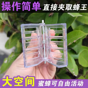 新款蜂王囚王笼书夹式王笼夹子塑料关蜜蜂蜂王囚王笼包邮10个装