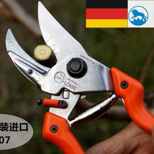德国原装进口狮牌剪刀多规格修枝园艺铁砧花枝剪园林修枝剪