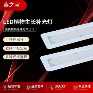 定时可调光LED植物生长补光灯全光谱学习灯户外地摊照明灯