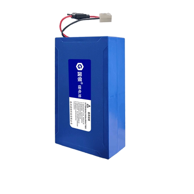 国领电动滑板车池48v36v锂电池