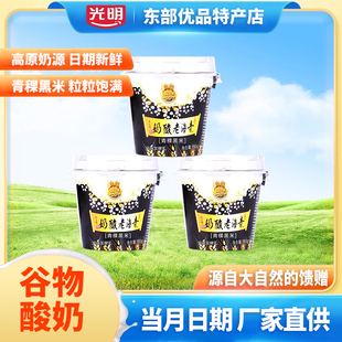 小西牛光明老酸奶150g*12杯谷物青稞黑米酸奶青海特产风味发酵乳
