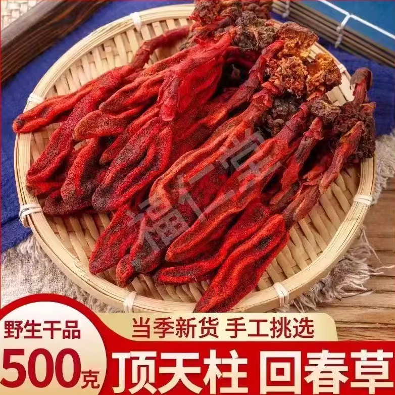 回春草野生云南新鲜巴戟天淫羊藿肉苁蓉回春草泡酒煲汤顶天柱不老