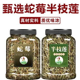 蛇莓半枝莲中药材组合正品官方旗舰店地莓草泡水喝的功效和作用