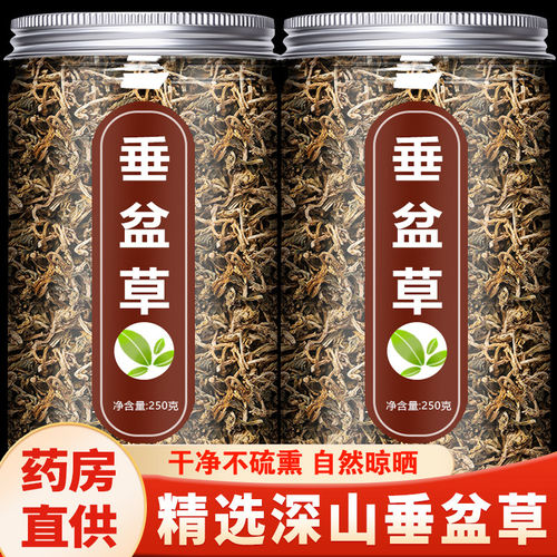 垂盆草中药材新鲜干货500g