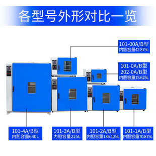 新款 电热恒温鼓风干燥箱大型高温设备小型烤箱c实验室用烘干机工