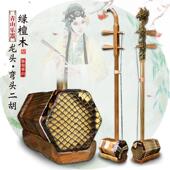 高档青山绿檀弯头二胡专业演奏龙头二考乐器初胡学二胡级厂家直销