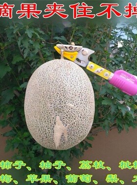 日式摘果剪伸缩高枝剪高空剪 摘果器高枝5米采果剪荔枝龙眼枇杷