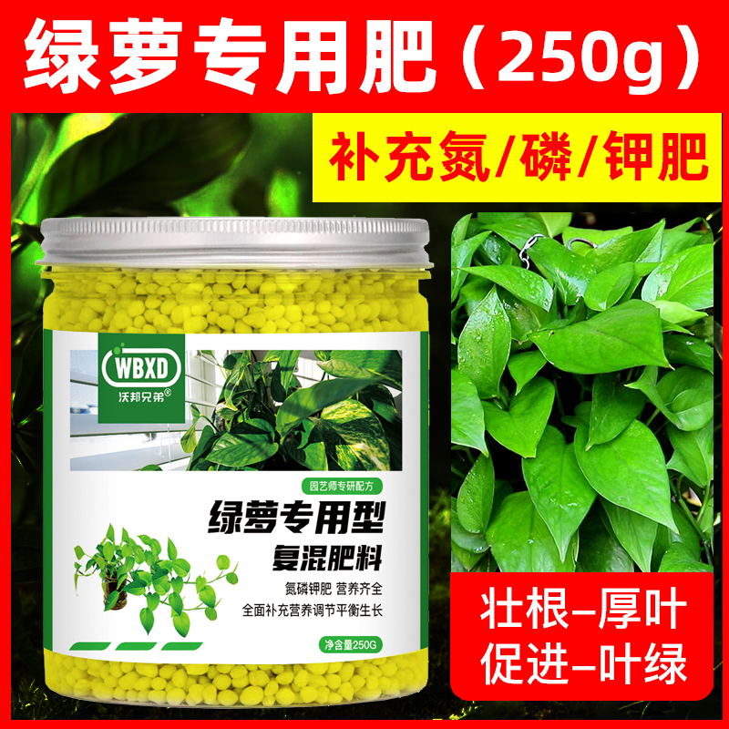 黄金葛肥料黄金葛专用肥颗粒家用盆栽通用型复合肥氮磷钾花肥养花