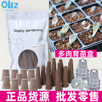 多肉植物播种盒扦插神器无土栽培育苗块熟料育苗盒水培穴盘保温箱