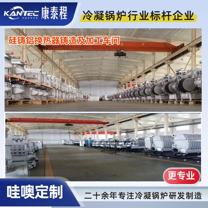 燃气热水锅炉家用取暖洗浴智能恒温节能省气安全防冻静音运行