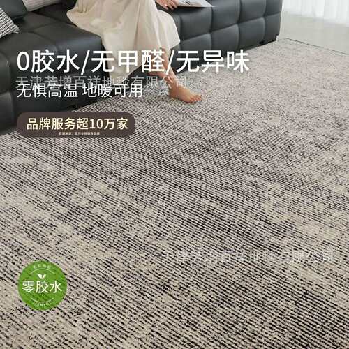 无胶防水客厅地毯高级感黑白灰现代极简意式轻奢沙发卧室免洗防污