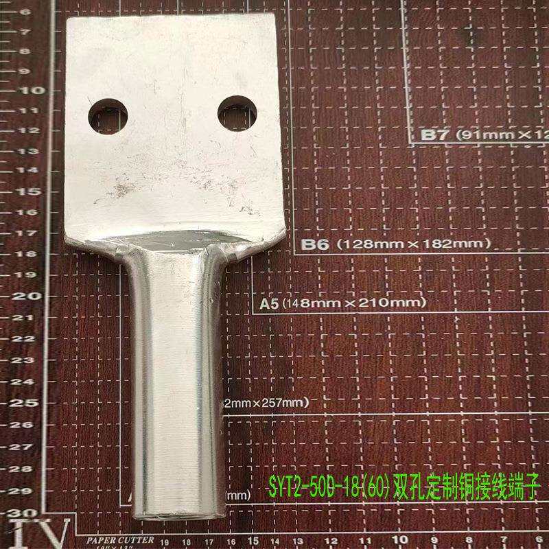 双孔铜鼻子 贰眼铜端子 多孔接头定置 平板铜线耳SYT2-500-18(60)
