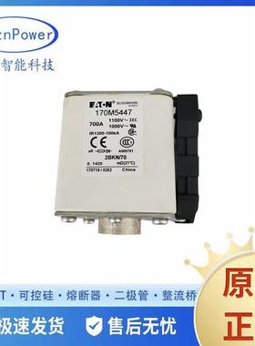 170M5408 400A690V 170M5409 快速熔断器/高压熔断器保险丝