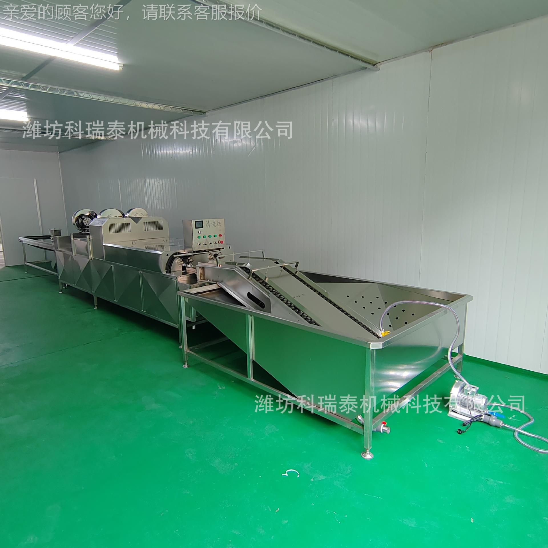 生咸鸭PYN蛋保洁蛋洗蛋机产 养殖场鸡清蛋自厂动洗机 源头家