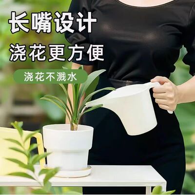 浇花浇水壶家用浇花壶长嘴壶种菜